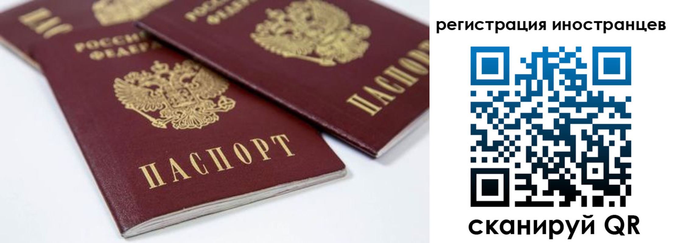 регистрация для школы в Новосибирске